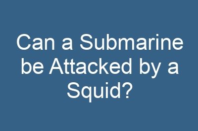 Can a Submarine be Attacked by a Squid?