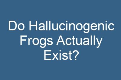 Do Hallucinogenic Frogs Actually Exist?