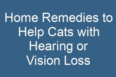 Home Remedies to Help Cats with Hearing or Vision Loss
