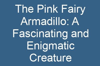 The Pink Fairy Armadillo: A Fascinating and Enigmatic Creature