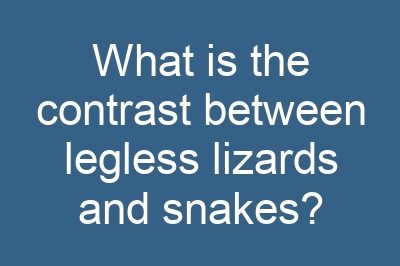 What is the contrast between legless lizards and snakes?