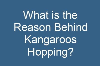 What is the Reason Behind Kangaroos Hopping?