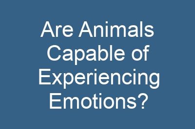 Are Animals Capable of Experiencing Emotions?