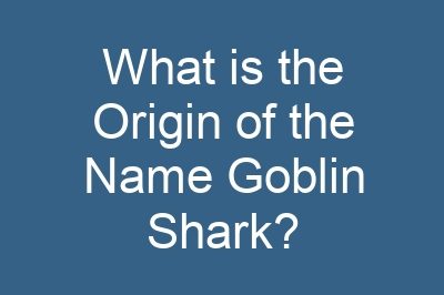 What is the Origin of the Name Goblin Shark?