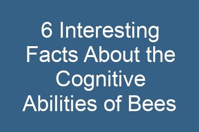 6 Interesting Facts About the Cognitive Abilities of Bees