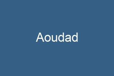 Aoudad
