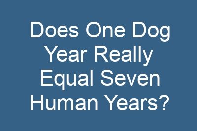 Does One Dog Year Really Equal Seven Human Years?