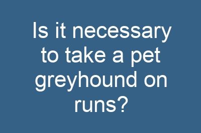 Is it necessary to take a pet greyhound on runs?