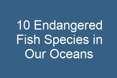 10 Endangered Fish Species in Our Oceans