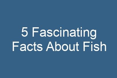 5 Fascinating Facts About Fish