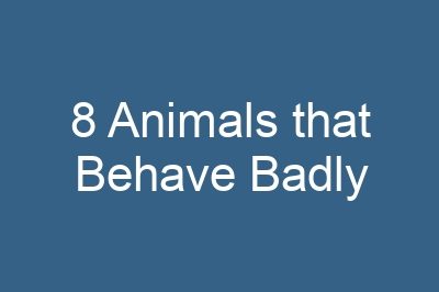 8 Animals that Behave Badly