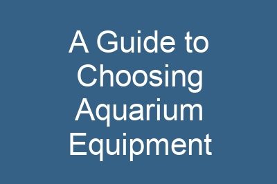 A Guide to Choosing Aquarium Equipment