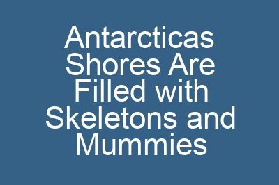 Antarcticas Shores Are Filled with Skeletons and Mummies