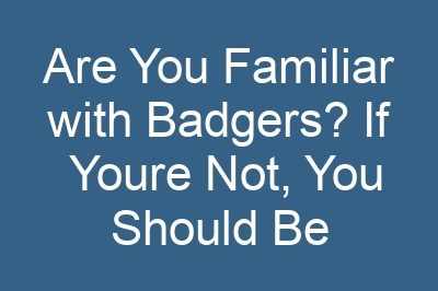 Are You Familiar with Badgers? If Youre Not, You Should Be