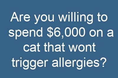 Are you willing to spend $6,000 on a cat that wont trigger allergies?
