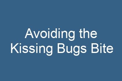 Avoiding the Kissing Bugs Bite