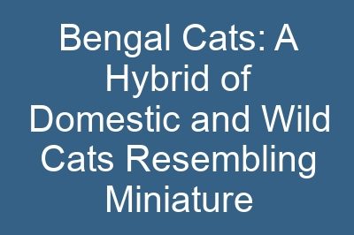 Bengal Cats: A Hybrid of Domestic and Wild Cats Resembling Miniature Leopards
