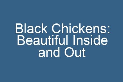 Black Chickens: Beautiful Inside and Out