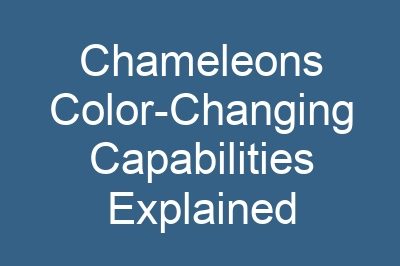 Chameleons Color-Changing Capabilities Explained