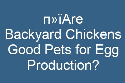 п»їAre Backyard Chickens Good Pets for Egg Production?