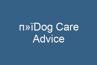 п»їDog Care Advice