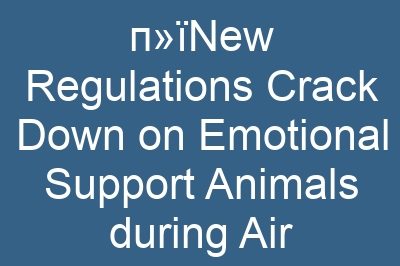 п»їNew Regulations Crack Down on Emotional Support Animals during Air Travel