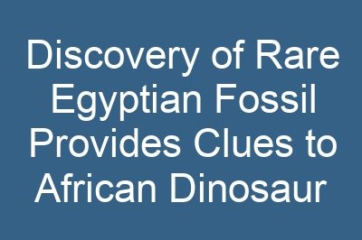 Discovery of Rare Egyptian Fossil Provides Clues to African Dinosaur Migration