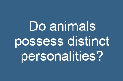 Do animals possess distinct personalities?