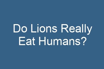 Do Lions Really Eat Humans?