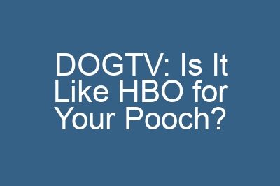 DOGTV: Is It Like HBO for Your Pooch?