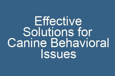 Effective Solutions for Canine Behavioral Issues