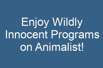 Enjoy Wildly Innocent Programs on Animalist!
