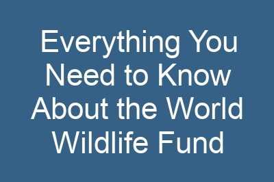 Everything You Need to Know About the World Wildlife Fund