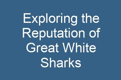 Exploring the Reputation of Great White Sharks