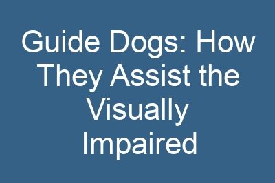 Guide Dogs: How They Assist the Visually Impaired