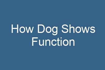 How Dog Shows Function