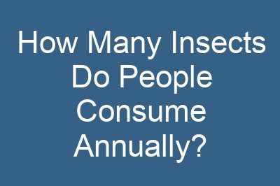 How Many Insects Do People Consume Annually?