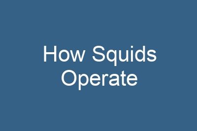 How Squids Operate