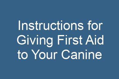 Instructions for Giving First Aid to Your Canine