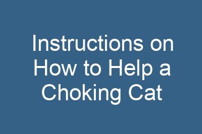 Instructions on How to Help a Choking Cat