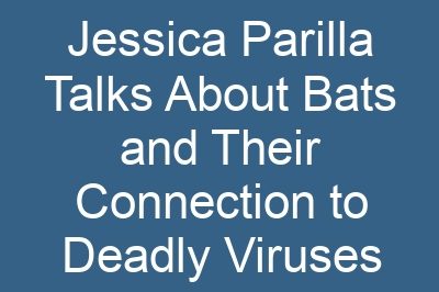 Jessica Parilla Talks About Bats and Their Connection to Deadly Viruses