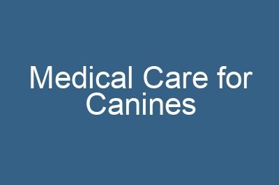 Medical Care for Canines