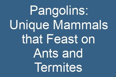 Pangolins: Unique Mammals that Feast on Ants and Termites