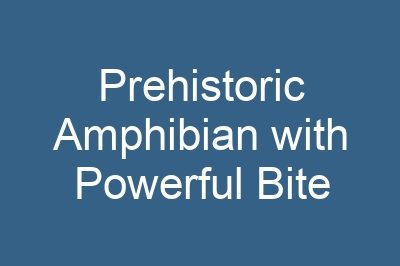 Prehistoric Amphibian with Powerful Bite