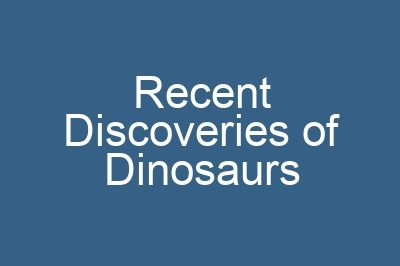 Recent Discoveries of Dinosaurs