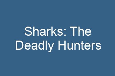 Sharks: The Deadly Hunters