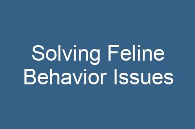 Solving Feline Behavior Issues