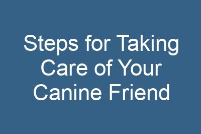 Steps for Taking Care of Your Canine Friend