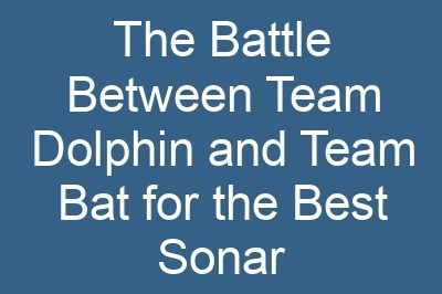 The Battle Between Team Dolphin and Team Bat for the Best Sonar
