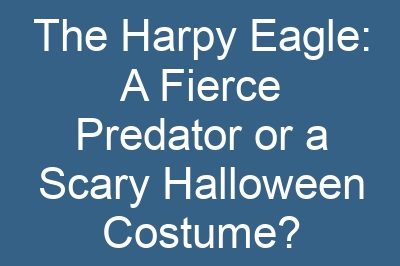 The Harpy Eagle: A Fierce Predator or a Scary Halloween Costume?